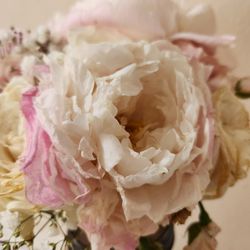 California Flower Wholesale
