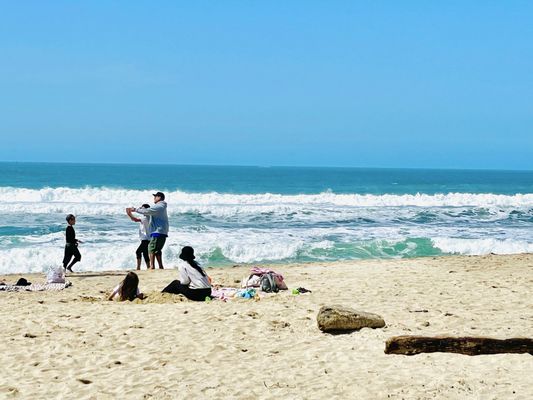 Half Moon Bay by null