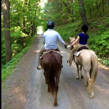 Greenridge Horse Ranch - Horseback Riding Near Me - Artemas, Pennsylvania Greenridge Horse Ranch - Horseback Riding Near Me - Artemas, Pennsylvania