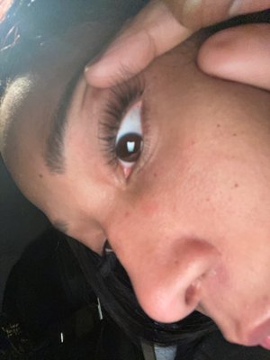 MissCat Eyelash by null