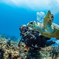 Gigglin' Marlin Dive & Swim - Cozumel Turtle Love