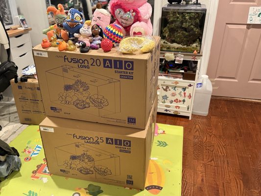 LAX Aquarium by null