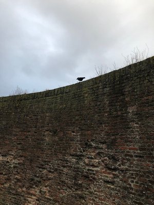 Fort Napoleon by null