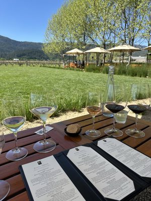 Alpha Omega Winery by null