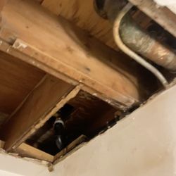 Shockcor - MOLD! They wont admit it but we tested independently