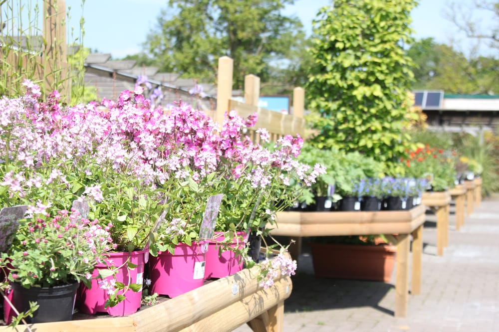 BOURNE VALLEY GARDEN CENTRE Updated September 2024 Unit 23 Woodham