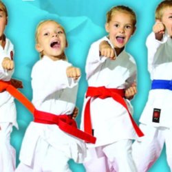 Mt Kicks TaeKwonDo