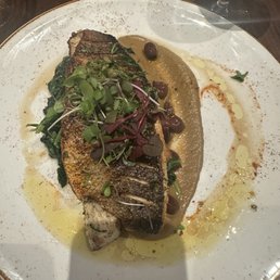 Branzino Branzino