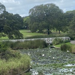 Victoria Park