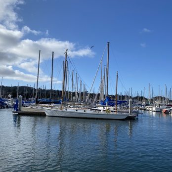 Sandbar & Grill - Views - Seafood Near Me - Monterey, California Sandbar & Grill - Views - Seafood Near Me - Monterey, California