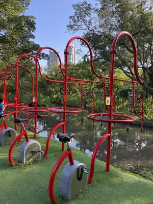 Daan Forest Park by null