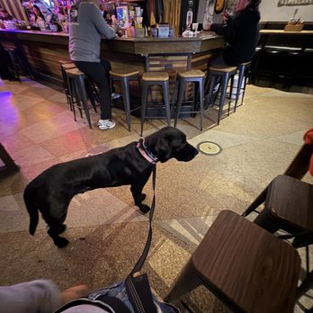 The Boardroom - My dog being an NPC - Sports Bars Near Me - San Francisco, California The Boardroom - My dog being an NPC - Sports Bars Near Me - San Francisco, California