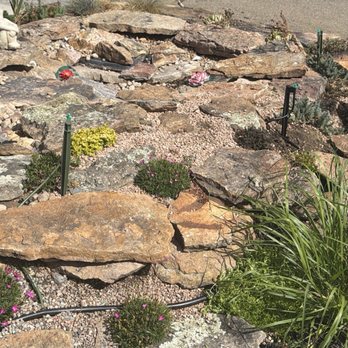 TLC Land Care - Micro-heads around pond landscaping (pond dry for drought) - Landscaping Near Me - Arvada, Colorado TLC Land Care - Micro-heads around pond landscaping (pond dry for drought) - Landscaping Near Me - Arvada, Colorado