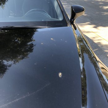 Mr. Squeaky Car Wash - Bird poo still on - Car Wash Near Me - Pompano Beach, Florida Mr. Squeaky Car Wash - Bird poo still on - Car Wash Near Me - Pompano Beach, Florida