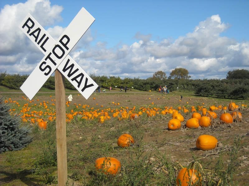 APPLELAND STATION 329 Richmond St., RR2, Thorndale, Ontario, Canada DoItYourself Food