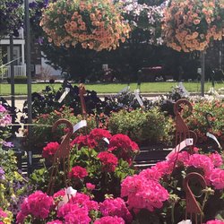 Frenz Garden Center
