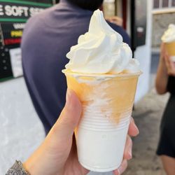 Tranzilli Real Italian Water Ice