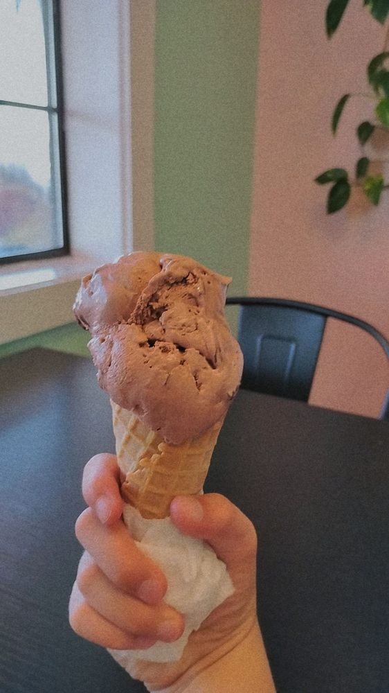 Zandora’s Homemade Ice Cream Logo
