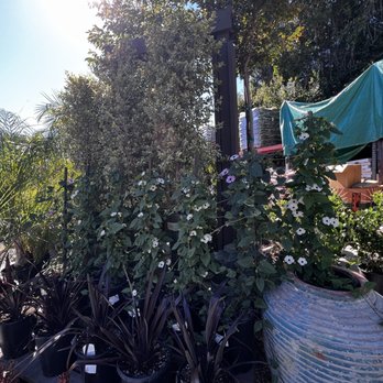 Armstrong Garden Centers - Nurseries & Gardening Near Me - Newport Beach, California