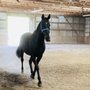 Photo of Midnight Mountain Stables