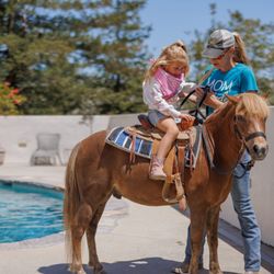 Paso Robles Pastures