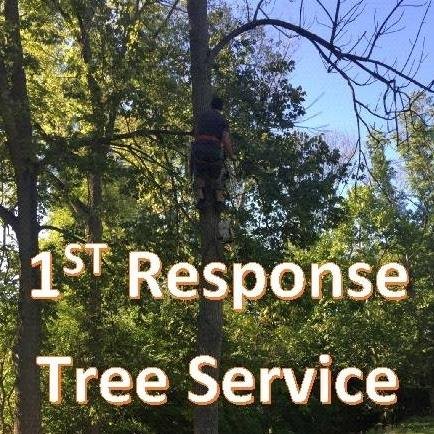 1st Response Tree Service - tree service in Blue Ash, OH