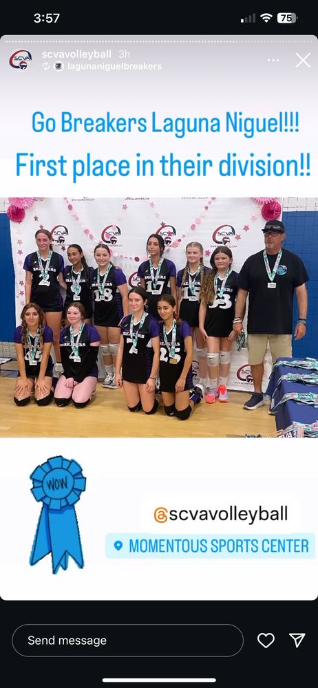 Laguna Niguel Breakers Volleyball Club Logo