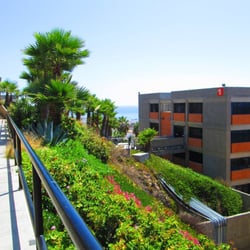 El Colegio de la Frontera Norte