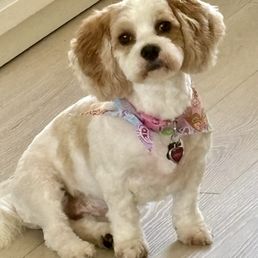 After her spa day!!  Took a while to get her to pose!