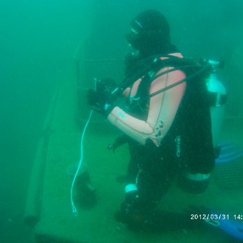 Gotham Divers - Wreck dive, let the wheeling begin! - Scuba Diving Near Me - Manhattan, New York