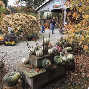 Gordon Skagit Farms - Fruits & Veggies Near Me - Mount Vernon, Washington Gordon Skagit Farms - Fruits & Veggies Near Me - Mount Vernon, Washington