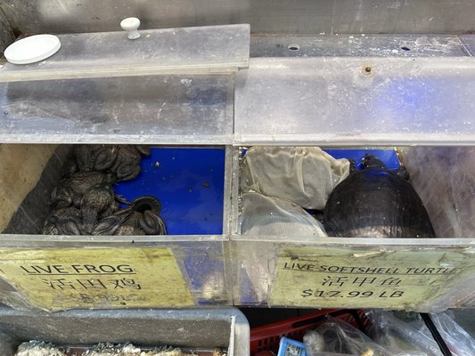 Chinatown Square by null