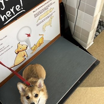 Pet Food Express - Pet Stores Near Me - Pleasanton, California Pet Food Express - Pet Stores Near Me - Pleasanton, California