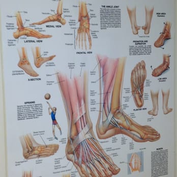 William P Grant, DPM - Podiatrists Near Me - Virginia Beach, Virginia William P Grant, DPM - Podiatrists Near Me - Virginia Beach, Virginia