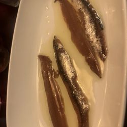 Bodega Cala del Vermut - Aged anchovies in house