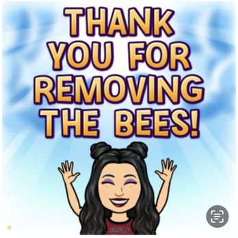 MJC Live Bee removal - Pest Control Near Me MJC Live Bee removal - Pest Control Near Me