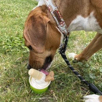 Charlee's Ice Cream - Doggie Sundae. Very recommend. - Ice Cream & Frozen Yogurt Near Me - Camillus, New York