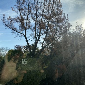 Ramces Tree Services - Before and after skyline - Tree Services Near Me