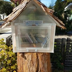 Little Free Library