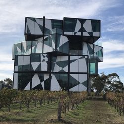 Wine Diva Tours - The d'Arenberg Cube. Very eclectic but a great place to taste wine!!