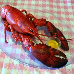 Shore Club Lobster Suppers