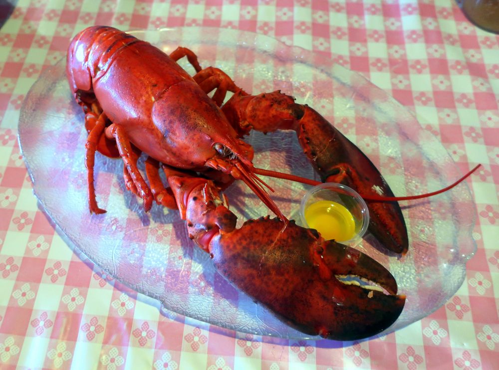Shore Club Lobster Suppers