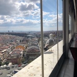 Koçi Restaurant