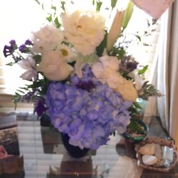 Lovely surprise! Lovely surprise!