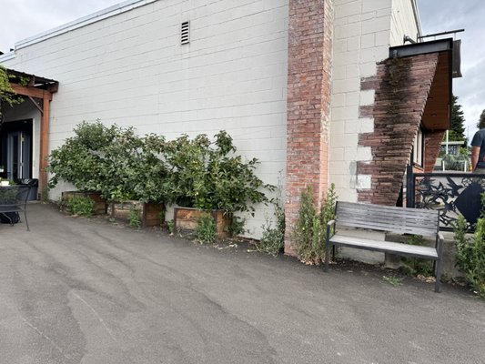 White Salmon Baking Co. by null