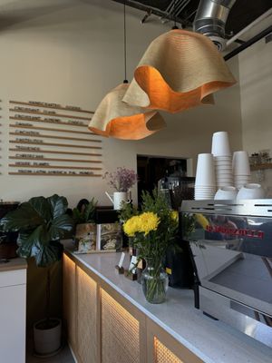 Magdalena Coffee & Houseplants by null