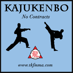 Tactical Kung Fu and Mixed Martial Arts - America's first Mixed Martial Art!