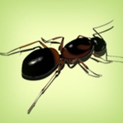 Bug Busters Do It Yourself Pest Control