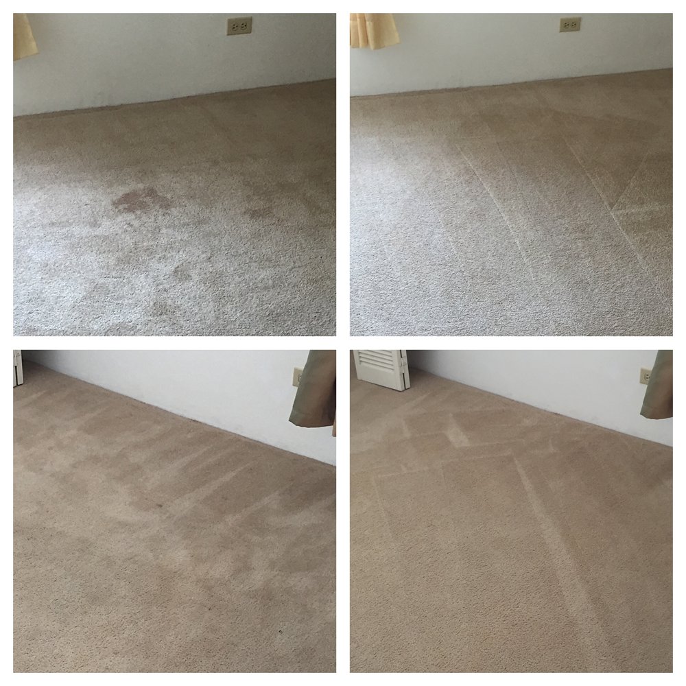 A1 SPOTLESS CARPET CLEANING Updated August 2024 1088 St