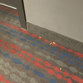 Comfort Suites - Food on carpet - Hotels Near Me - Fairview Heights, Illinois Comfort Suites - Food on carpet - Hotels Near Me - Fairview Heights, Illinois